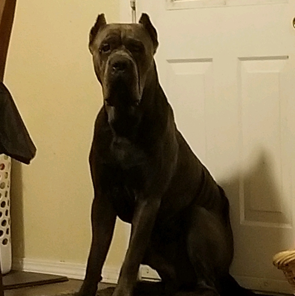 Meet your Posher, Ginny